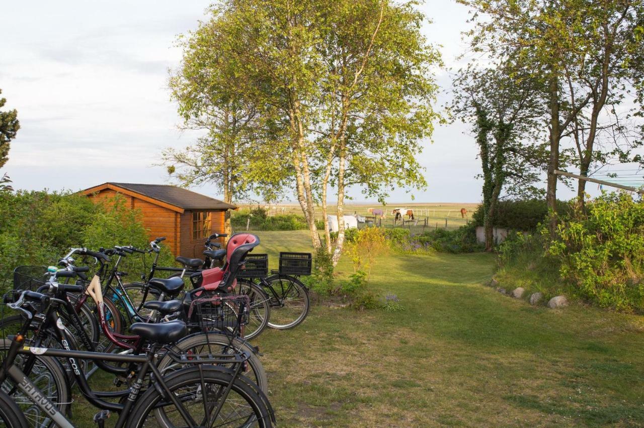 Ferienwohnung Wattstübchen  Norddorf auf Amrum Exterior foto